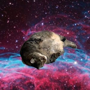 Meet your Posher, Evan